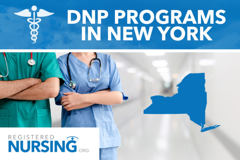 纽约DNP项目